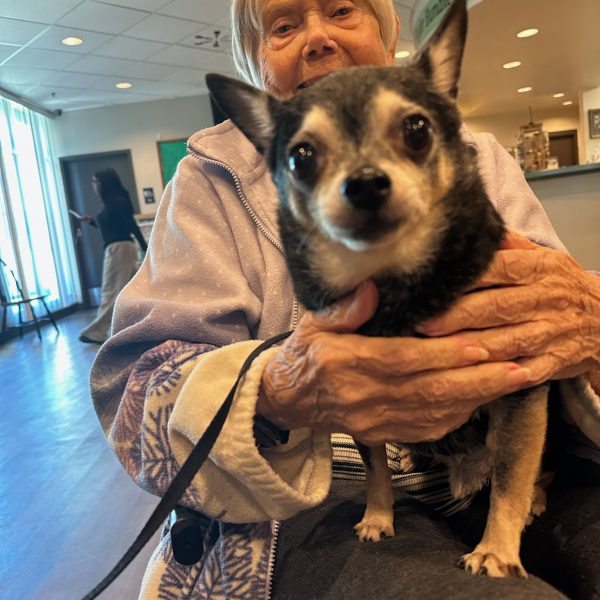 3193122574412369543 2