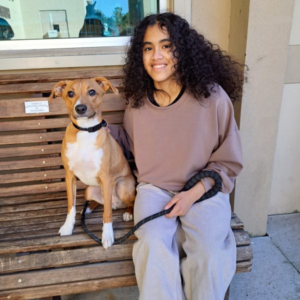 452262526059535222 2