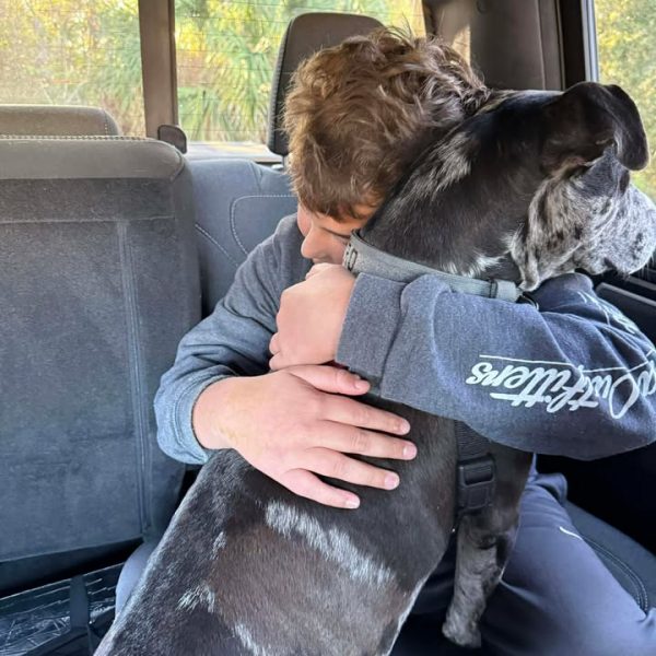 617705674_1453730463027549_8043318719470048913_n