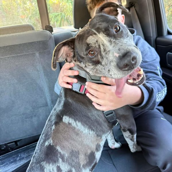 619401992_1631649857846872_1761778726094210588_n