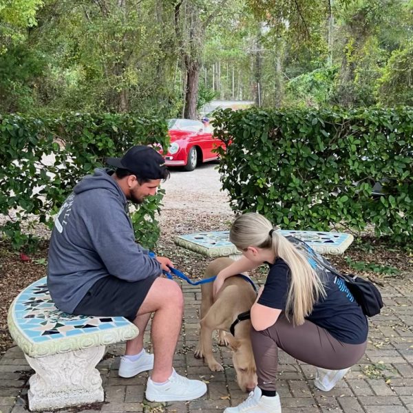 SugarAndSpice_IMG_9920 2