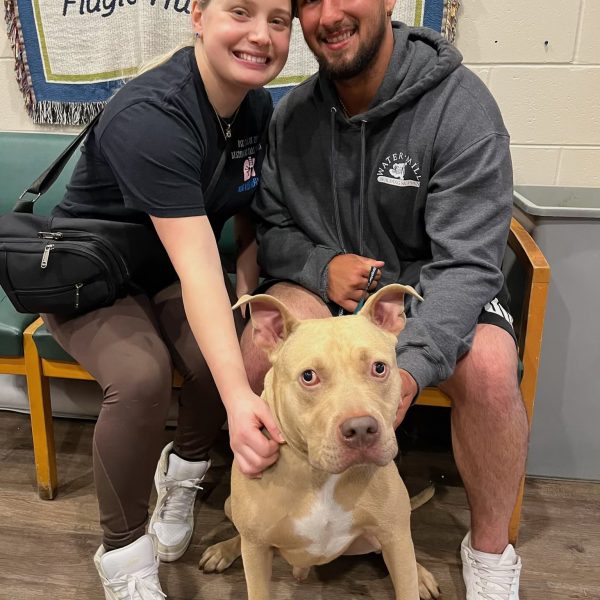 SugarandSpice_IMG_9921 2