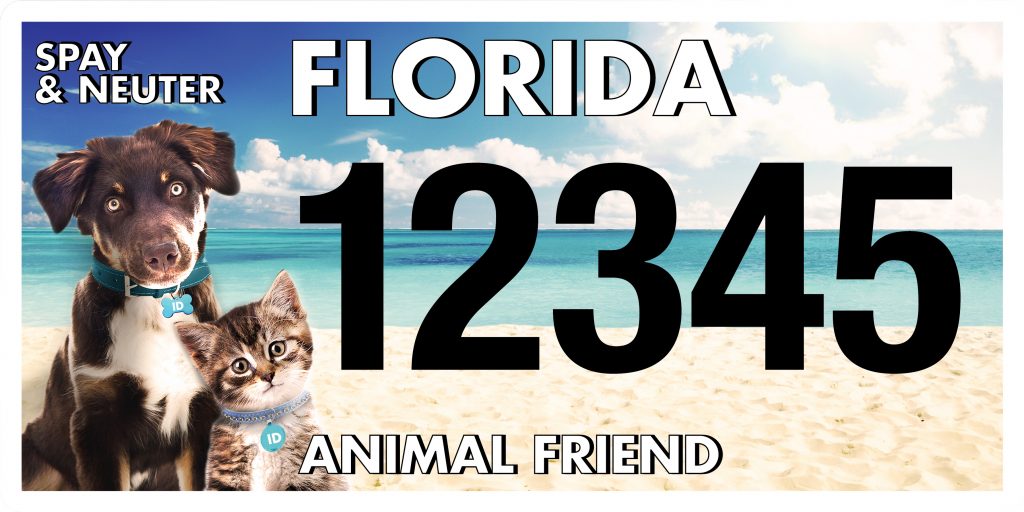 https://floridaanimalfriend.org/