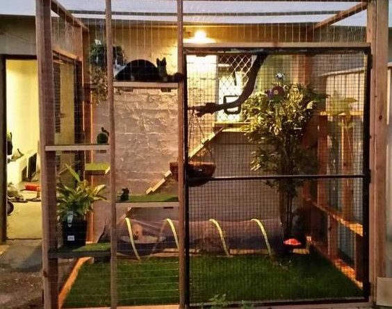 The Catio