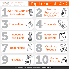 Beware of Household Poisons