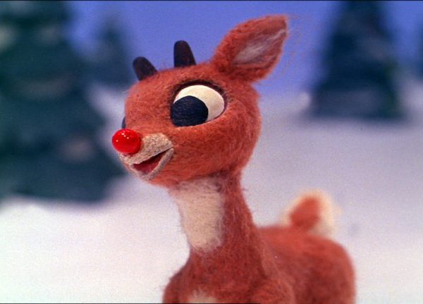 The real reindeer behind the “Most famous reindeer of all” 