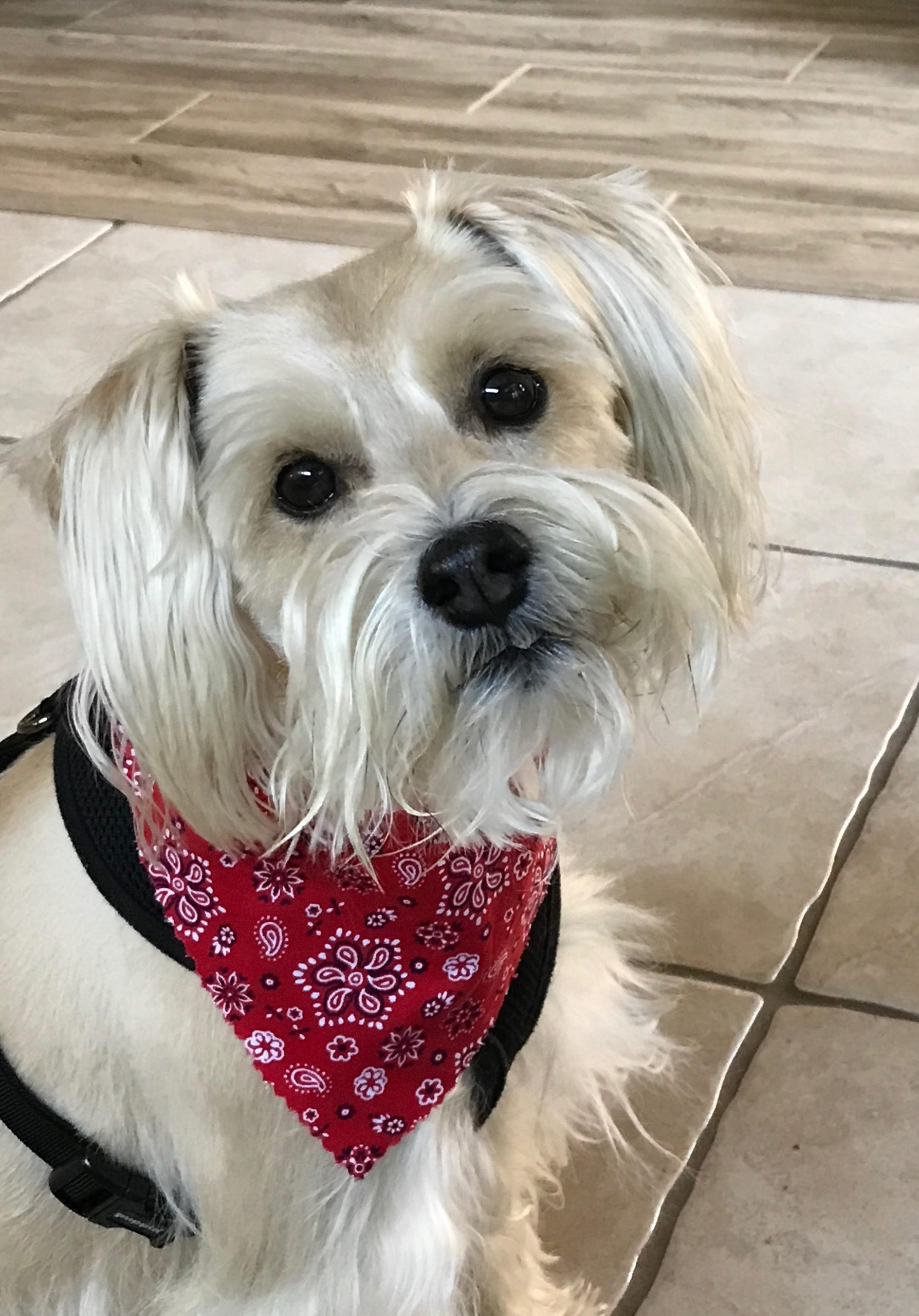 Eulogy for Hero Beilman