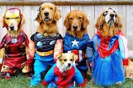Pet Superheroes