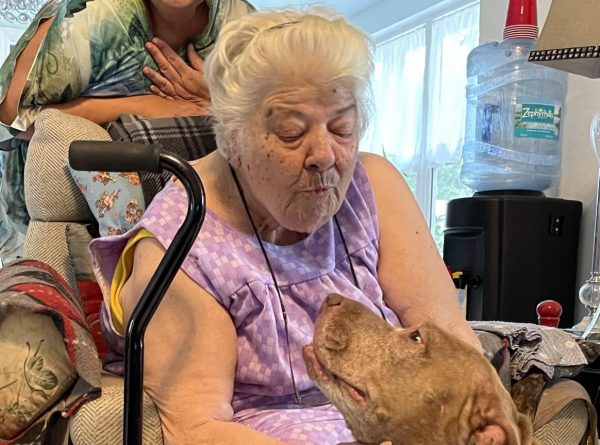 Sperry and “Vovo”