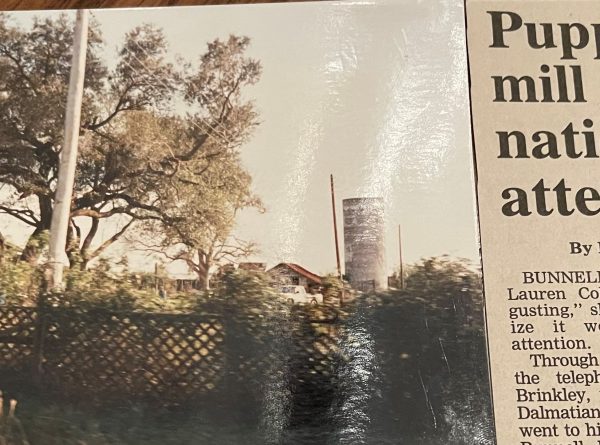 25 years Post-Puppy Mill