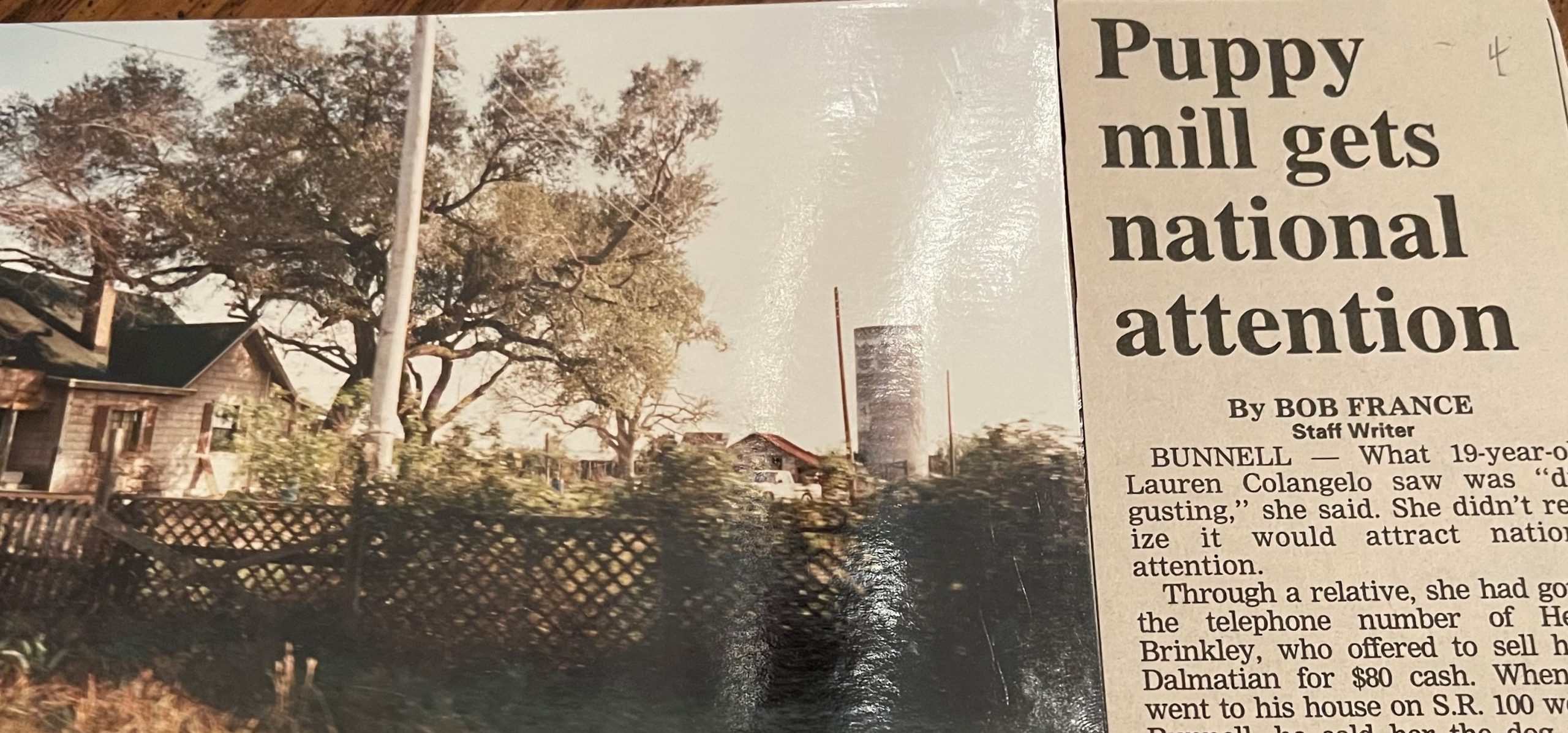 25 years Post-Puppy Mill