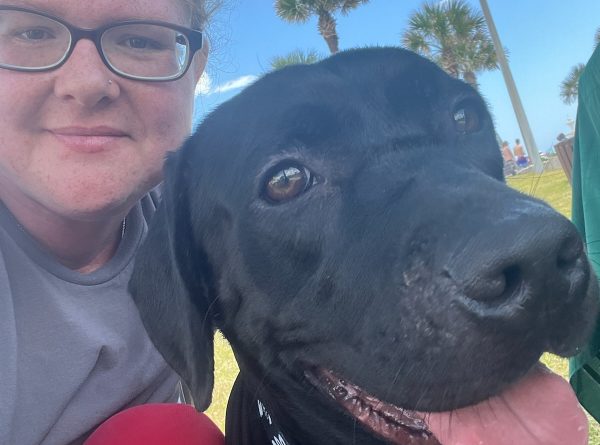 NATIONAL ANIMAL SHELTER APPRECIATION WEEK