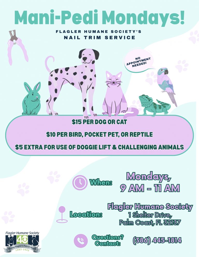 Mani-Pedi Mondays! Flagler Humane Society's Nail Trim Services. Every Monday, 9 am to 11 am at our shelter, 1 Shelter Drive, Palm Coast, FL. $15 per cat or dog, $10 per bird, pocket pet, or reptile. No appointment needed - first come, first served.