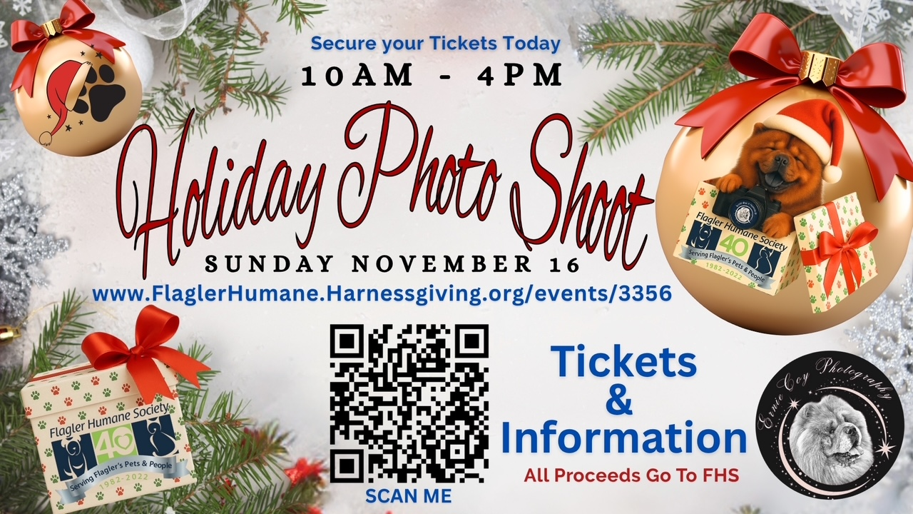 Holiday Photo Shoot for Dogs!