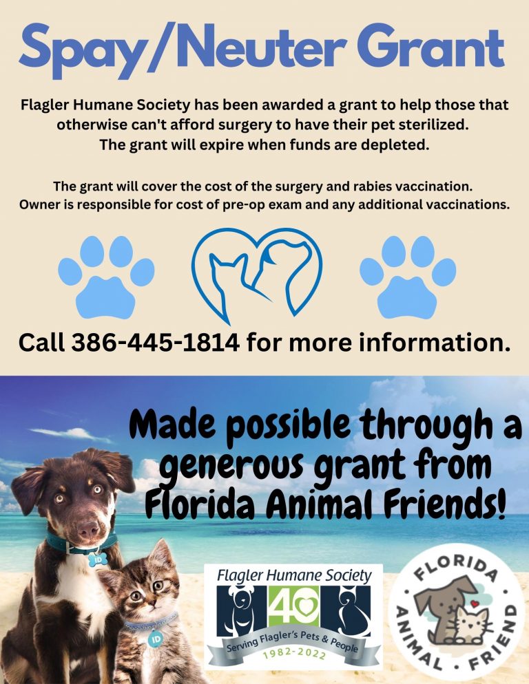 Flyer titled “Spay/Neuter Grant” from Flagler Humane Society. The flyer announces that the shelter has received a grant to help pet owners who cannot afford spay or neuter surgery. It states that the grant covers the cost of surgery and rabies vaccination, while owners are responsible for the pre-op exam and any additional vaccines. The flyer notes that the grant will expire when funds are depleted and provides the phone number 386-445-1814 for more information. At the bottom, text reads, “Made possible through a generous grant from Florida Animal Friends,” with logos for Flagler Humane Society’s 40th anniversary and Florida Animal Friend. The background features a beach scene with a happy brown dog and a gray tabby cat wearing blue collars. Blue paw prints and a heart-shaped dog-and-cat logo decorate the flyer.