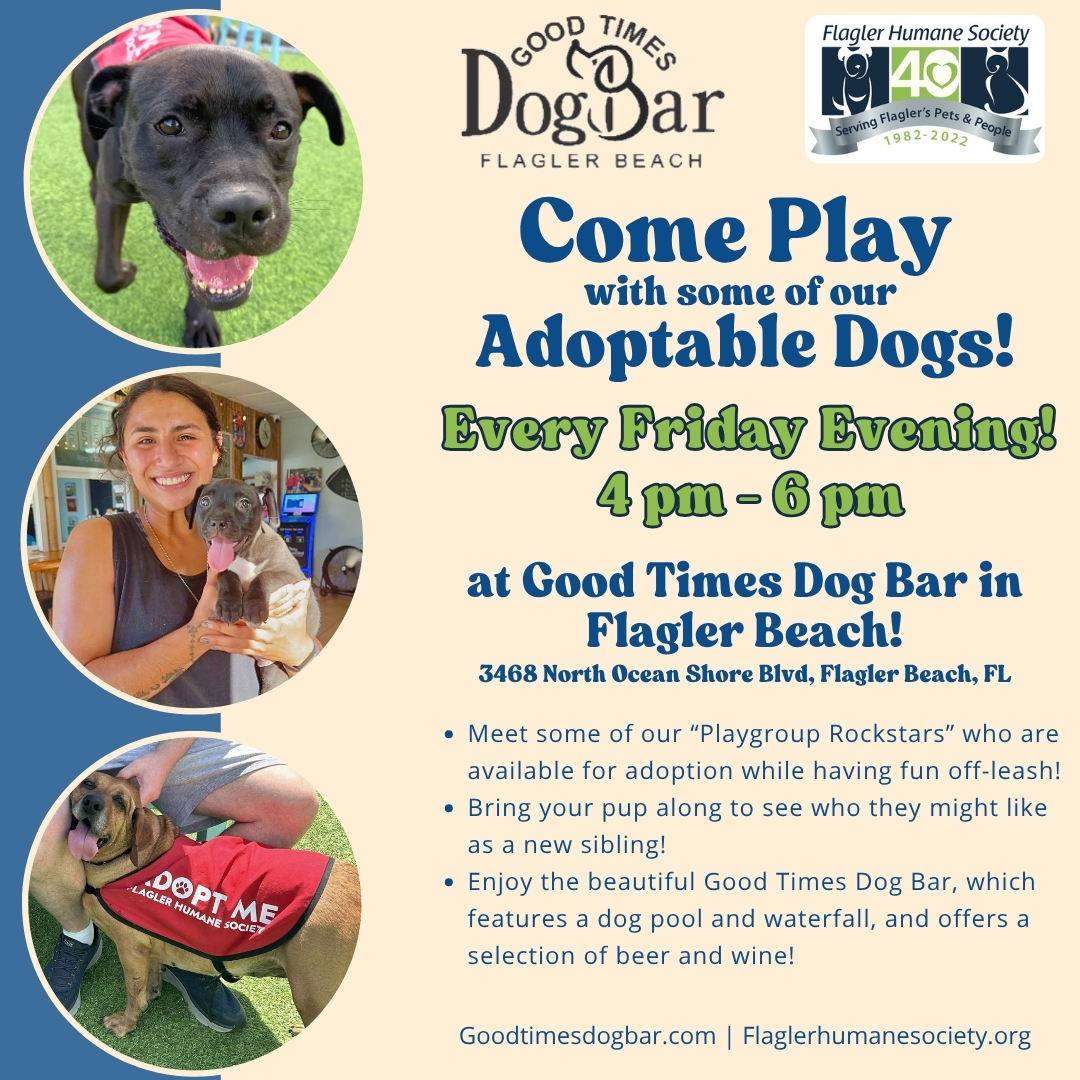 Good Times Dog Bar Weekly Adoption Night!