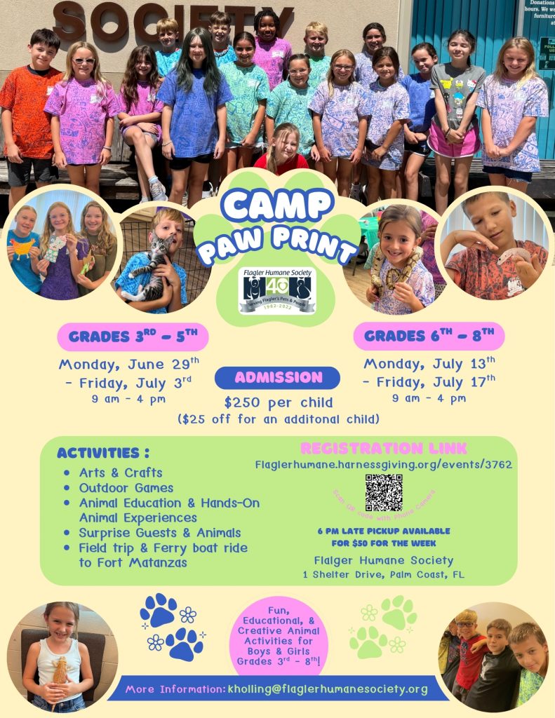 A colorful summer camp flyer for Camp Paw Print, hosted by Flagler Humane Society. The background is light yellow with green and pink accents. At the top, a group photo shows approximately 20 smiling children and teens standing in front of a building with the word "SOCIETY" visible. Below the photo, four circular inset images show children participating in camp activities, including holding a kitten, handling a snake, and doing crafts. The camp name "Camp Paw Print" appears in large, bold, colorful letters in the center, alongside the Flagler Humane Society 40th anniversary logo. Session details: Grades 3rd–5th: Monday, June 29th – Friday, July 3rd, 9 AM–4 PM Grades 6th–8th: Monday, July 13th – Friday, July 17th, 9 AM–4 PM Admission: $250 per child ($25 off for an additional child) 6 PM late pickup available for $50 for the week Activities include: Arts & Crafts, Outdoor Games, Animal Education & Hands-On Animal Experiences, Surprise Guests & Animals, and a Field Trip & Ferry Boat Ride to Fort Matanzas. Registration: flaglerhumane.harnessgiving.org/events/3762 | A QR code is also displayed. Location: Flagler Humane Society, 1 Shelter Drive, Palm Coast, FL More information: kholling@flaglerhumanesociety.org Fun, Educational, & Creative Animal Activities for Boys & Girls, Grades 3rd–8th!