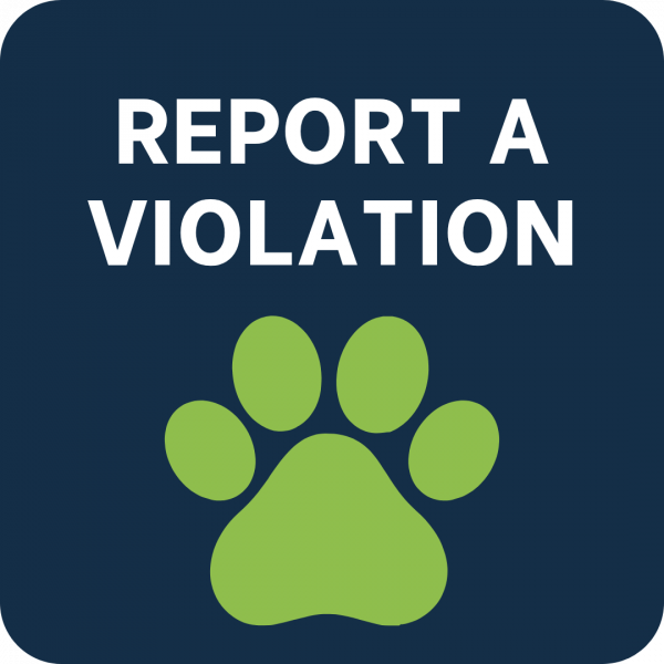 REPORT A VIOLATION BUTTON