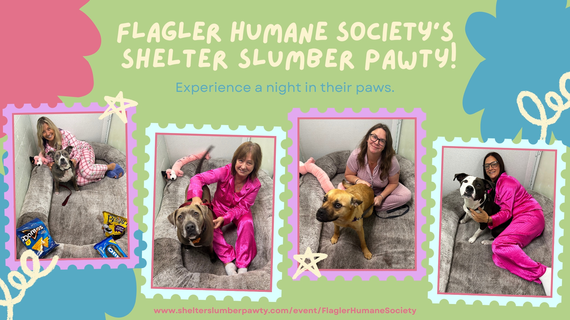 Shelter Slumber Pawty!