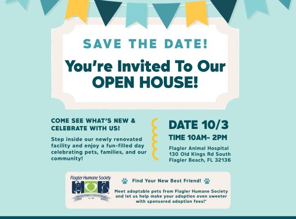 Flagler Animal Open House – Adoptable Shelter Animals